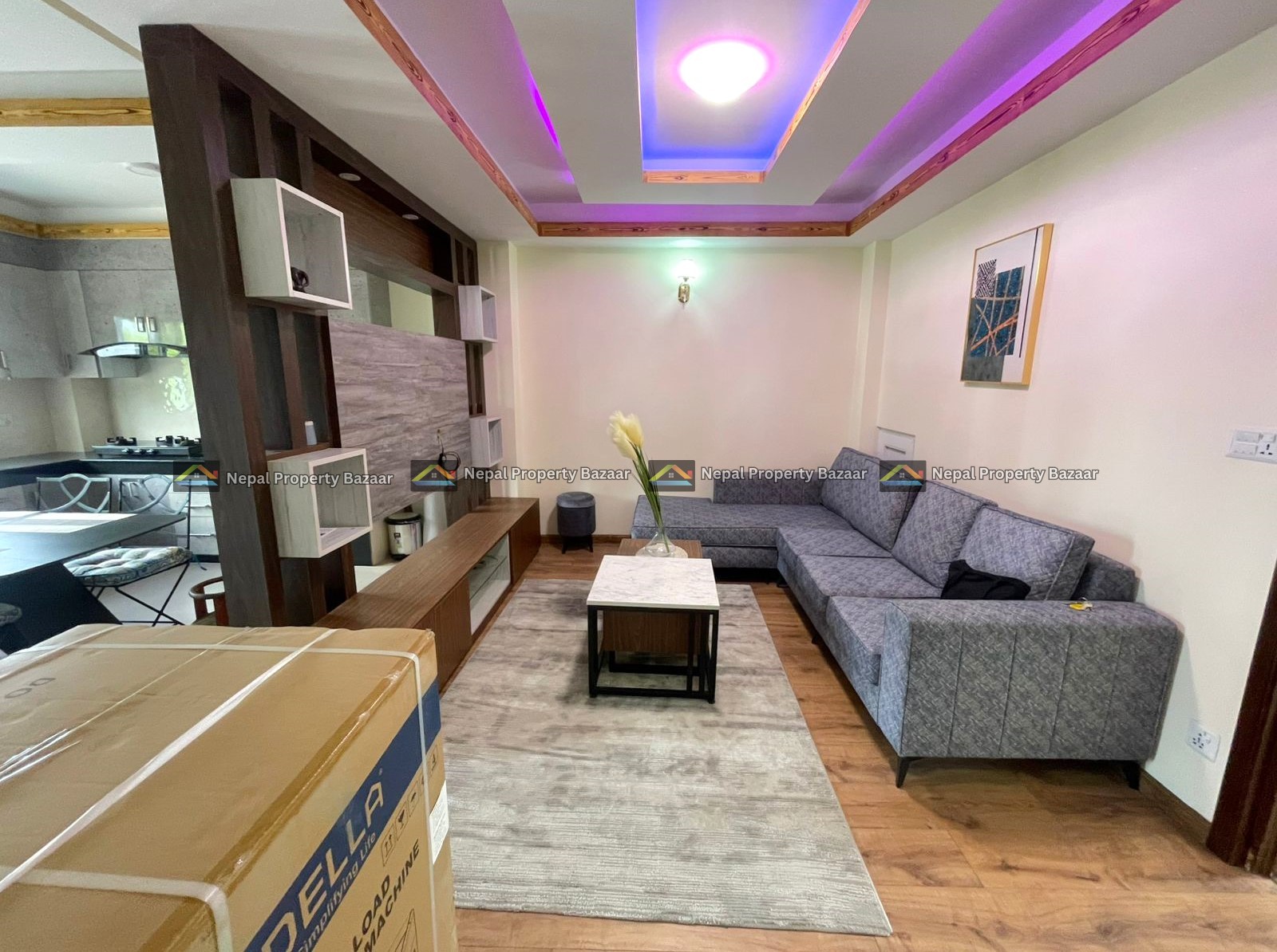 2BHK(2 Bathroom)  Furnished Flat Rent in Bhaisepati, Lalitpur (1)