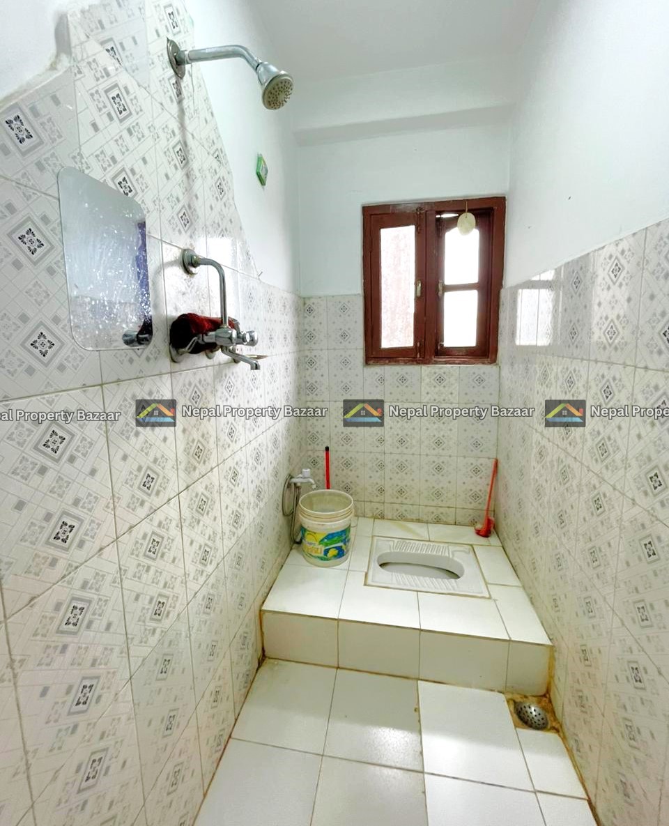 Small bathroom with a raised squat toilet, white tiles, a bucket and cleaning tools nearby, and a wooden window on the back wall