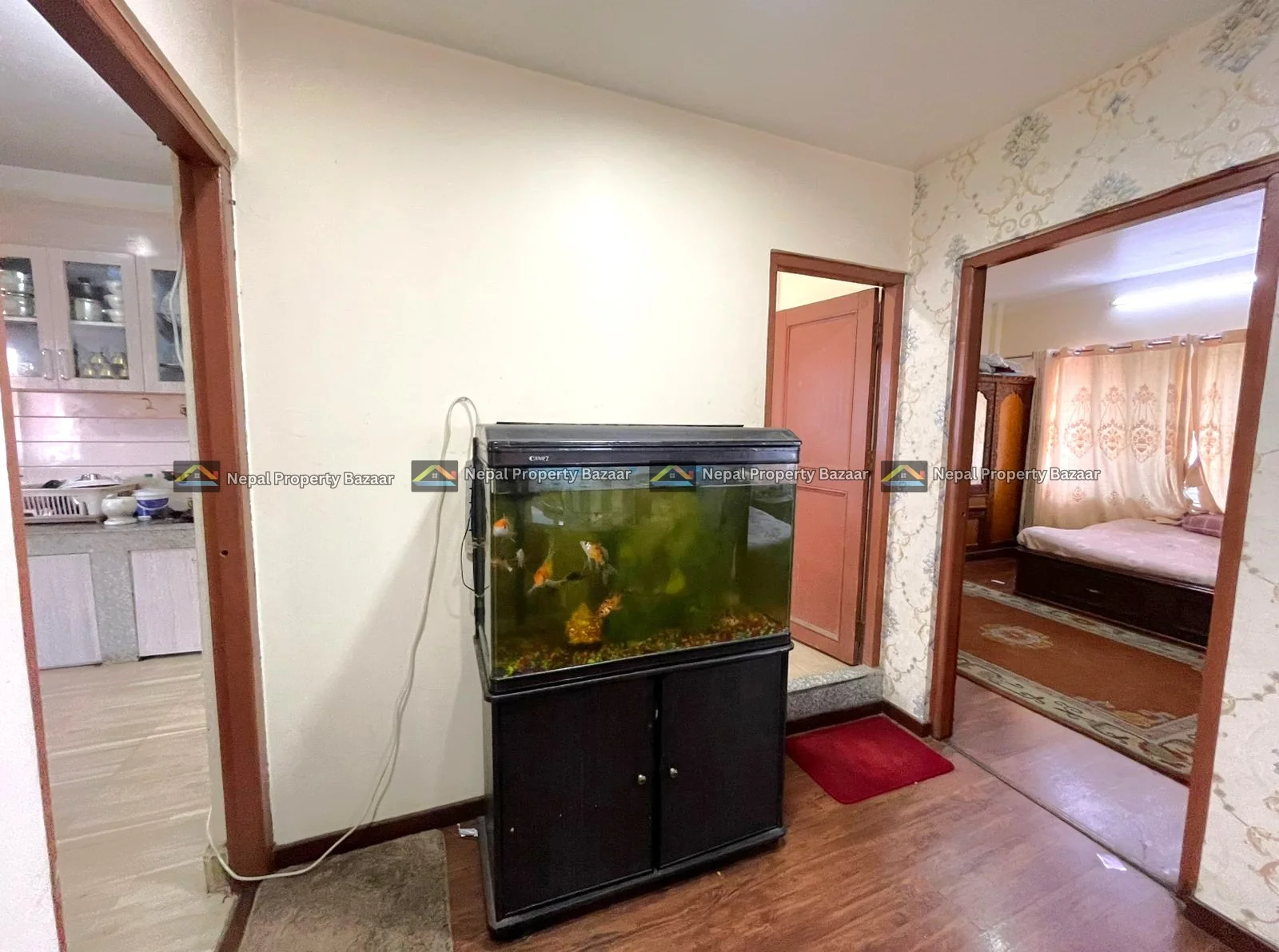 2BHK Fully Furnished Flat Rent in Kadaghari, Birendra Chowk, Kathmandu (2)