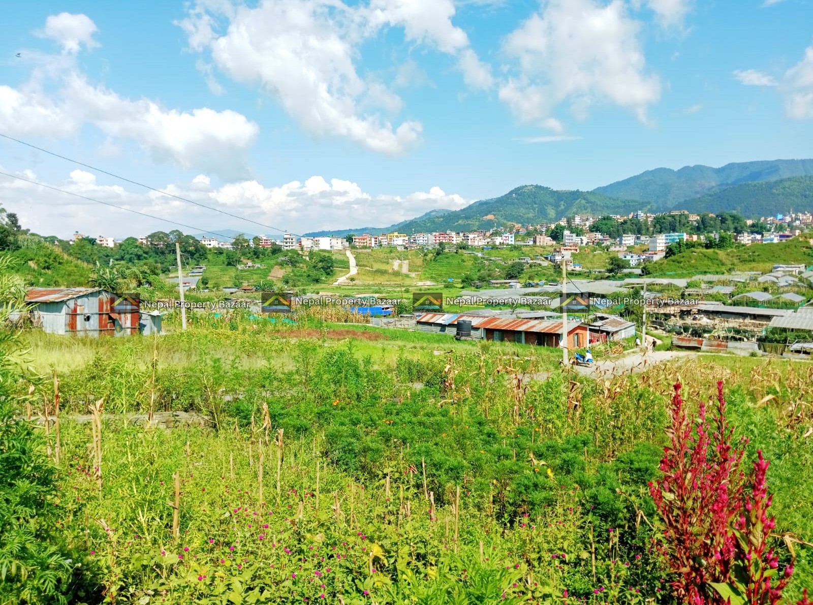 3 Aana Land for Sale in Dhapakhel, Nagdaha, Lalitpur (ltp) (1)