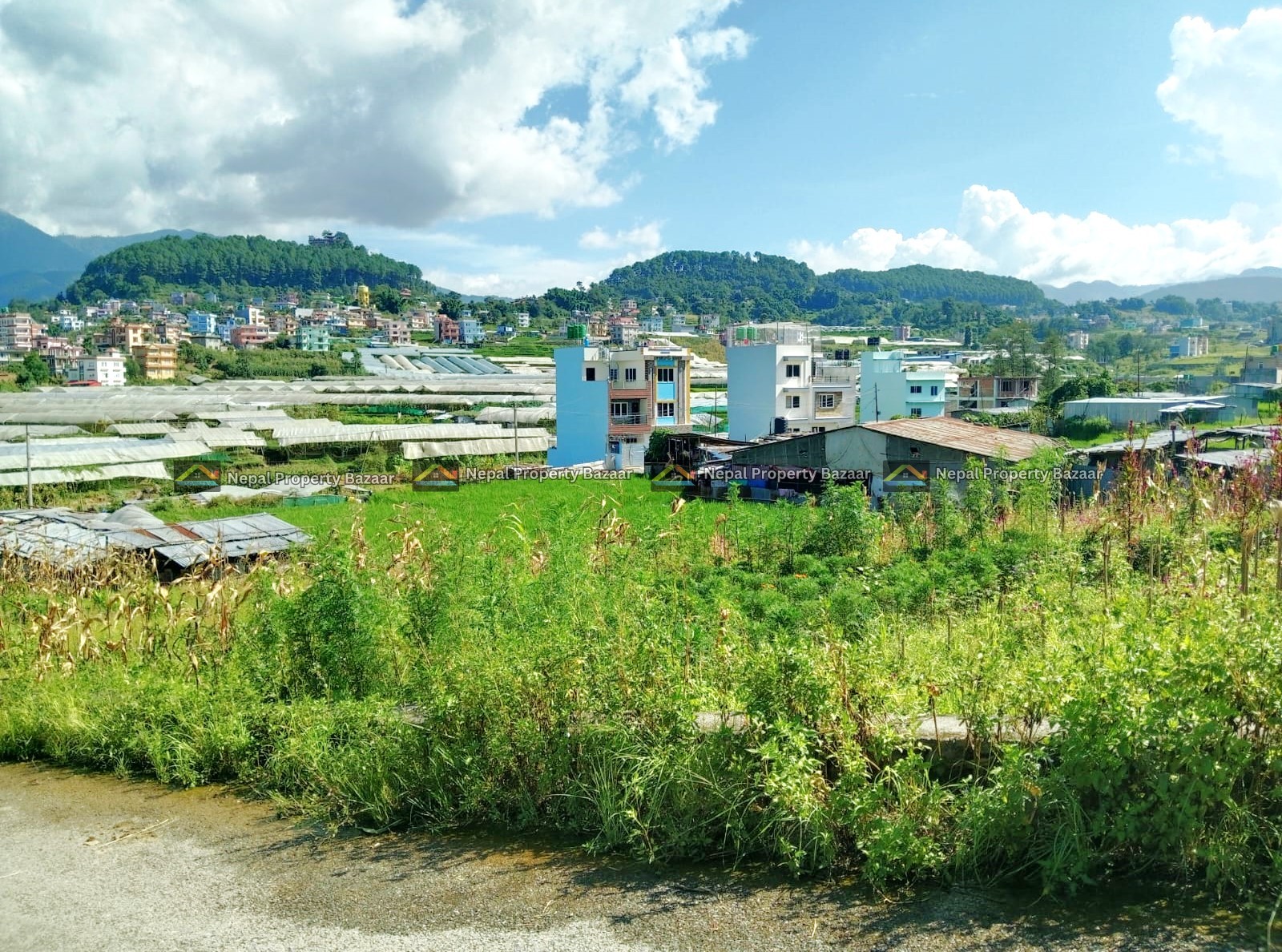 3 Aana Land for Sale in Dhapakhel, Nagdaha, Lalitpur (ltp) (3)