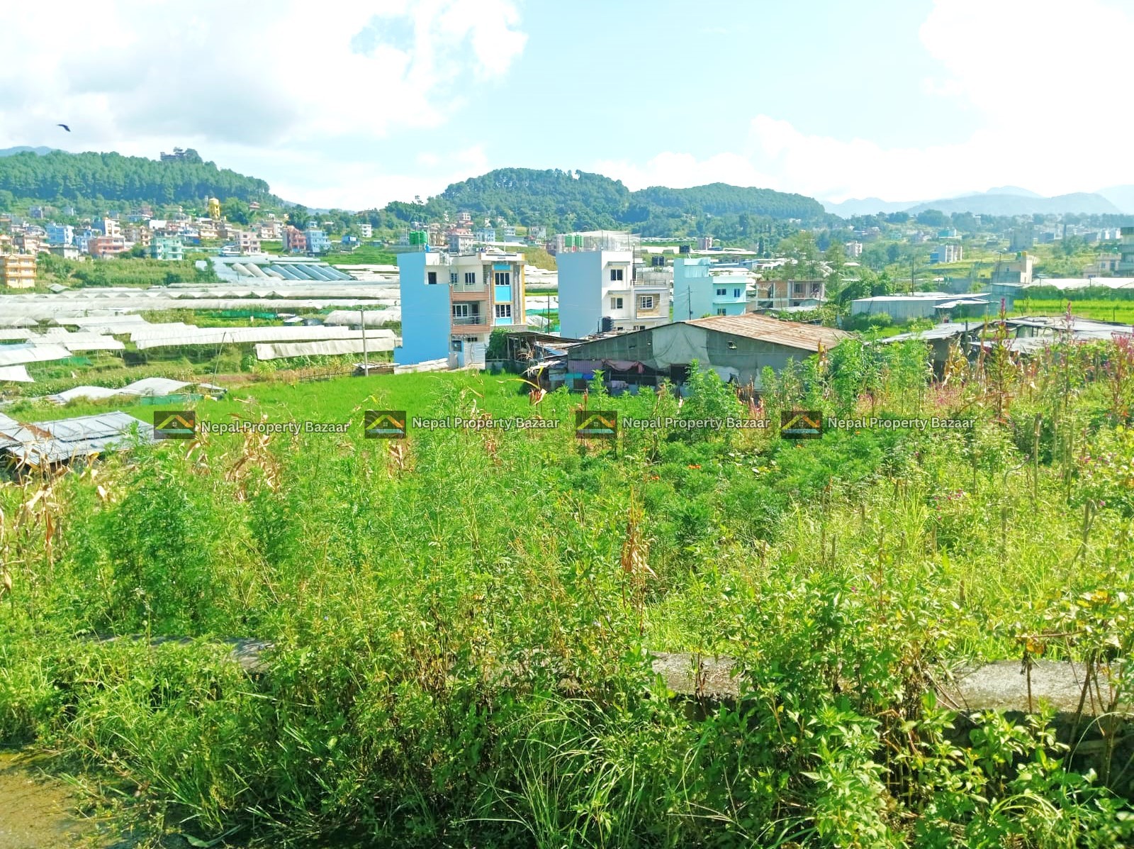 3 Aana Land for Sale in Dhapakhel, Nagdaha, Lalitpur (ltp) (4)
